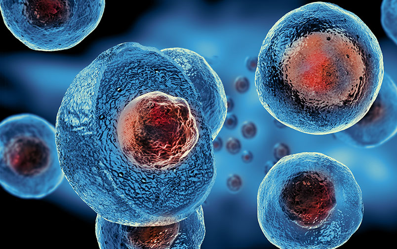 Priothera – Positive mocravimod Phase Ib clinical data published in Transplantation and Cellular Therapy